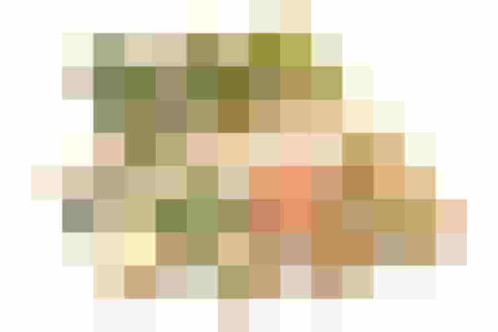 Käse